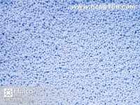 SB053小号浅兰印花胶珠